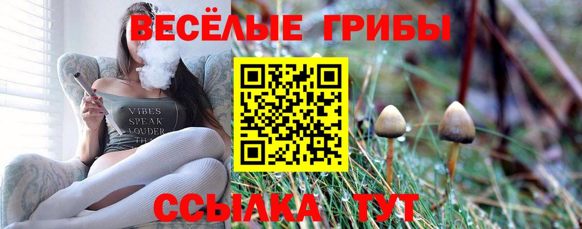 Псилоцибиновые грибы ЛСД  Галлюциногенные грибы Cubensis  Нерюнгри  Вход с VPN 